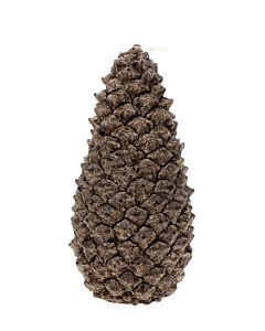 Bougies La Francaise Pinecone Candle 45h - Brown